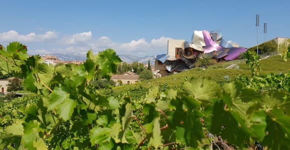Vine leaves in the foreground and a hillside building of curving silver and purple metal against a blue sky