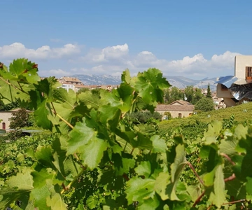 From San Sebastian/Bilbao/Vitoria: La Rioja Wineries Tour