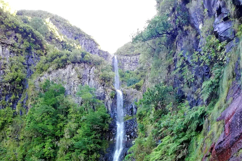 Madeira: 25 Fountains Rabaçal Forest Walk
