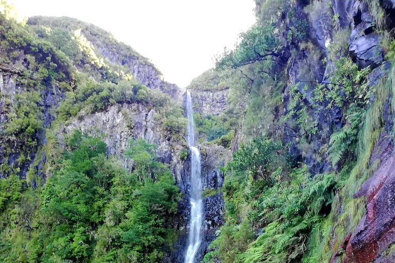 Madeira: 25 Fountains Rabaçal Forest Walk