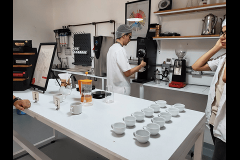 Medellín: Coffee Farm Tour with Tasting Experience