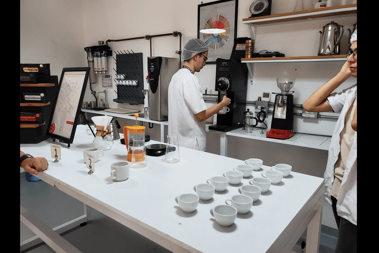 Medellín: Coffee Farm Tour with Tasting Experience