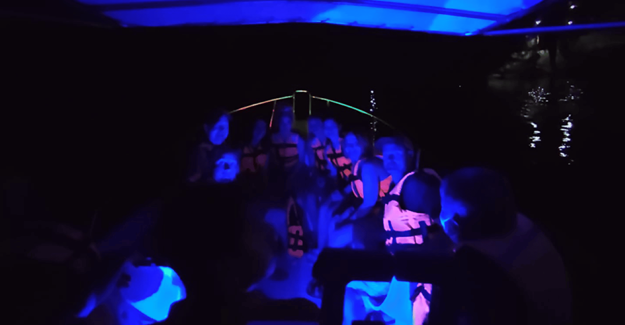 Huatulco, Libération de la tortue, cheval de cheval et bioluminescence - Hizvo
