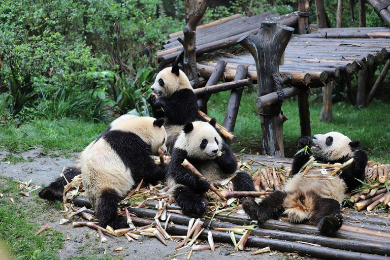 Sichuan Chengdu: Shu Feng Ya Yun with Optional Guide B-Class Seat+Sanxingdui Museum