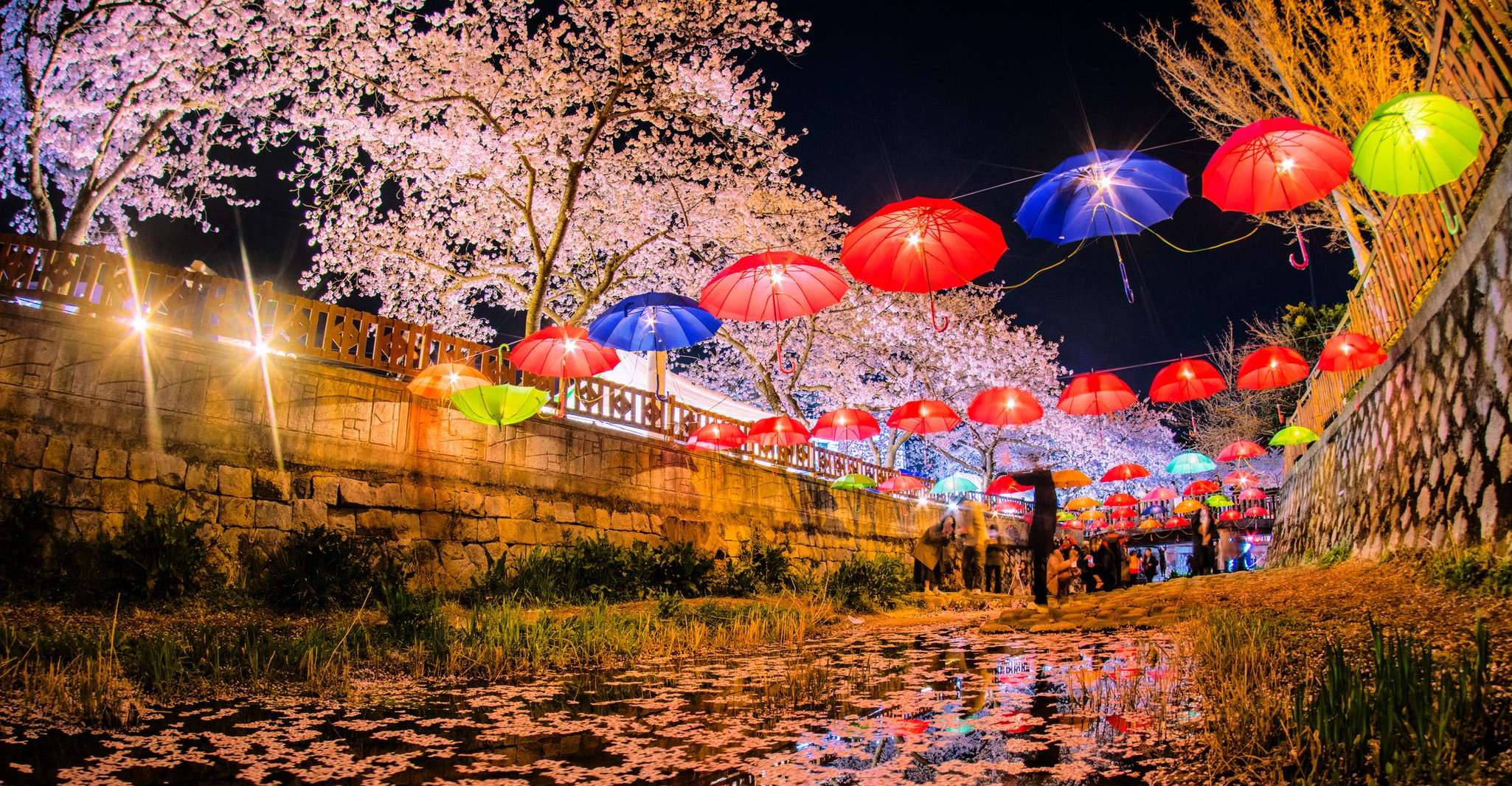 Busan'dan Jinhae Cherry Blossom Gündüz veya Gece Turu - Hizvo