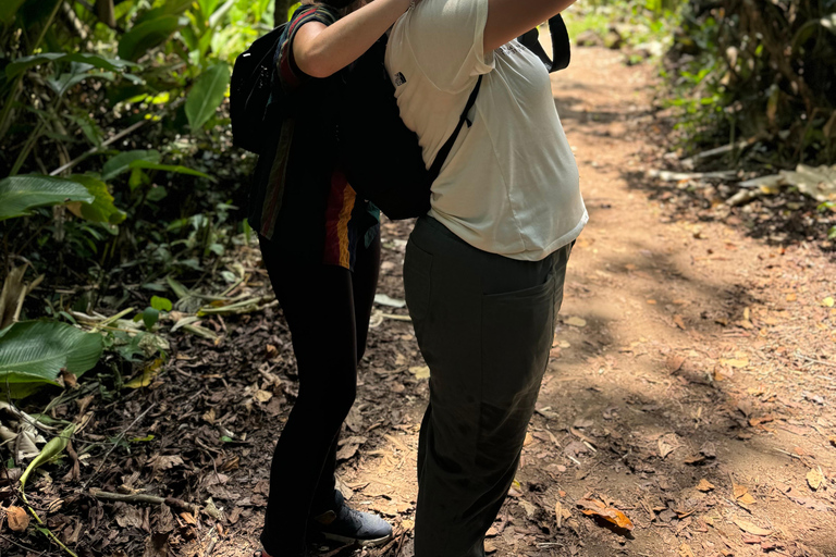 Nationaal Park Tortuguero: Dagwandeling Jaguar Trail