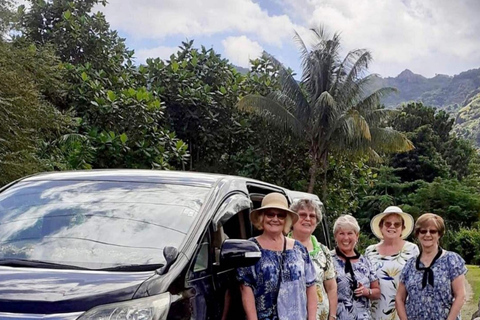 Nadi: Private Tour with Temple, Garden, Markets & Mud Pools