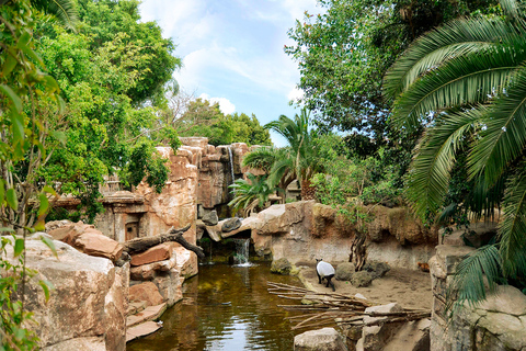 Fuengirola: Bioparc Entrance Ticket Bioparc Fuengirola General Admission Day Ticket