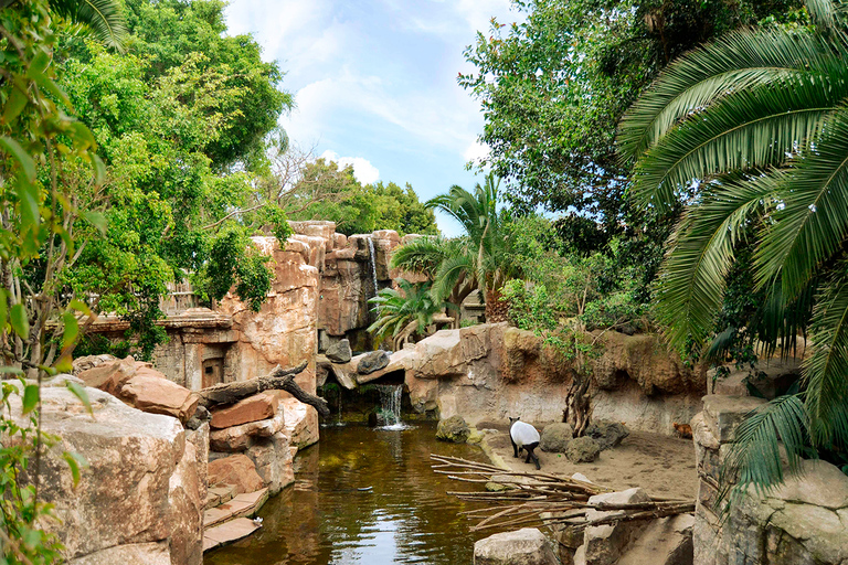 Fuengirola: Bioparc Entrance Ticket Bioparc Fuengirola General Admission Day Ticket