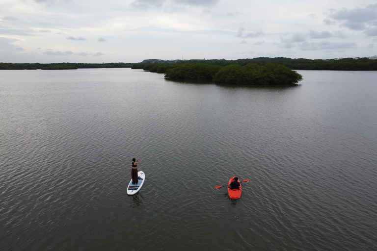 Stand-up Paddle & Kayak Tours in Veracruz