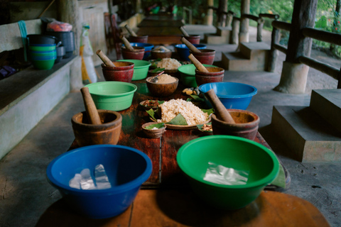 Khao Lak: Halve dag olifantensafari met maaltijd en vervoer van het hotel