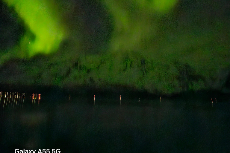 Tromsø:Tour de la aurora boreal en minibús por Tromsø