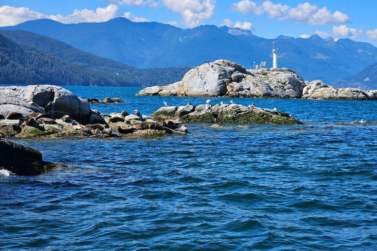 Vancouver: Snorkel, Kayak, and Seal Adventure Boat Tour