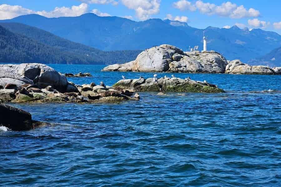 Vancouver: Schnorchel-, Kajak- und Seal Adventure Bootstour. Foto: GetYourGuide Vancouver: Schnorchel-, Kajak- und Seal Adventure Bootstour. Foto: GetYourGuide