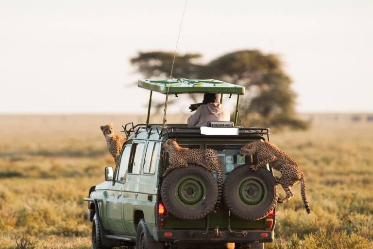5 daagse avontuurlijke safari in Kenia