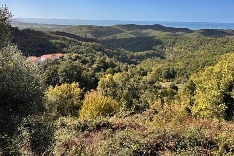 From Tirana/Durres: Rodon Cape 4x4 Tour & Duka Winery Visit From Durres/Golem/Qerret