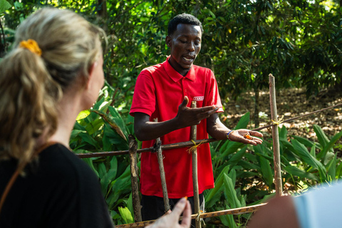 Dagtrip Zanzibar: Stone Town, Spice Tour en GevangeniseilandGedeelde groepsreis