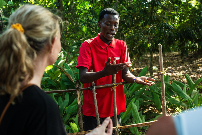 Dagtrip Zanzibar: Stone Town, Spice Tour en GevangeniseilandGedeelde groepsreis