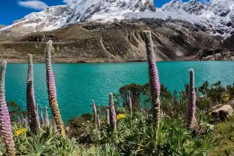 Huaraz: Rocotuyoc Lagune - Bevroren Lagune | Wandelen |