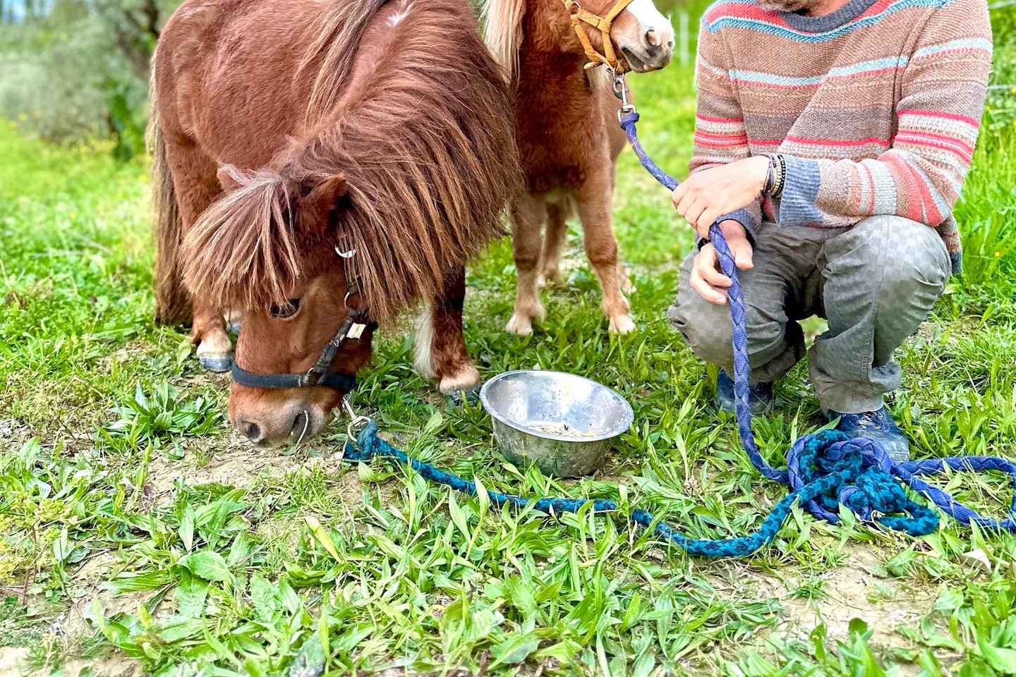 Florence: Sveitaferð með Vínsmökkun & Pastanámskeiði