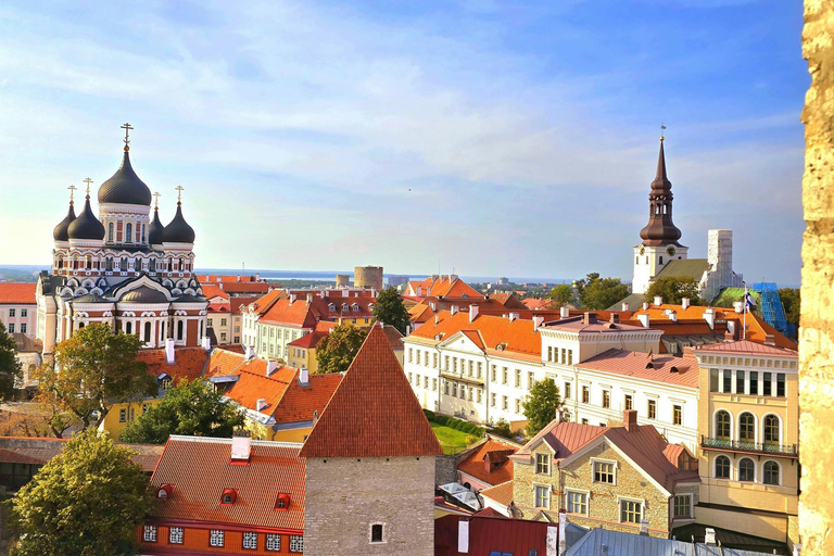 Tallinn: Old Town Walking Tour w/Local Guide & Hidden Gems