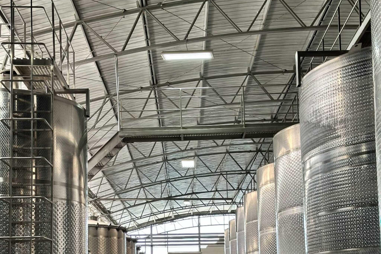 Wine Day Tour: Discover 3 wineries in Casablanca