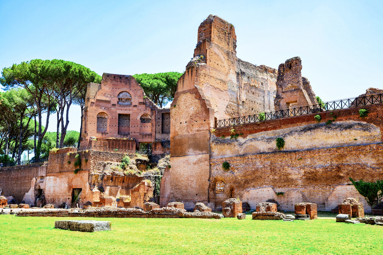 Rome: Colosseum, Roman Forum & Palatine Hill Tour Colosseum, Forum, and Palatine Hill Guided Tour in Italian