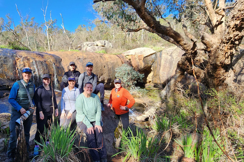 Perth: Caminata por Kitty&#039;s Gorge con té matutinoPerth: Excursión a Kitty&#039;s Gorge con té matutino