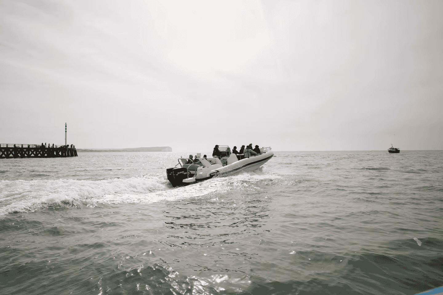 Desde Brighton: Tour en Barco por las Siete Hermanas