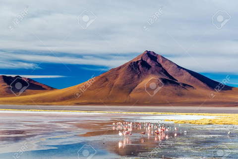 Excursão de 5 dias a Uyuni e à Lagoa Vermelha