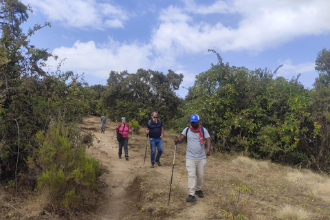 Gondar: Simien Mountains 3-Day Trekking Adventure