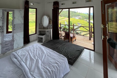 Mount Sago: Summit Zen & Palm Sugar Tour" Summer Experience ; Sikabu-kabu