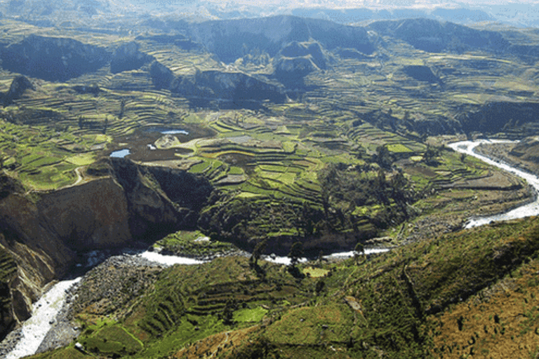 Colca Canyon Trekking 2 days