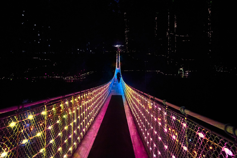 Capilano Suspension Bridge Canyon Lights Holiday Tour
