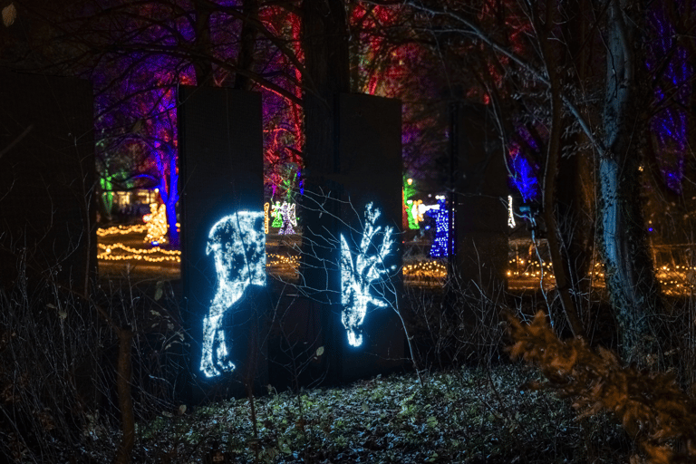 Dresda: Biglietto d'ingresso per il Giardino di Natale di DresdaDresda: biglietto d'ingresso al Giardino di Natale