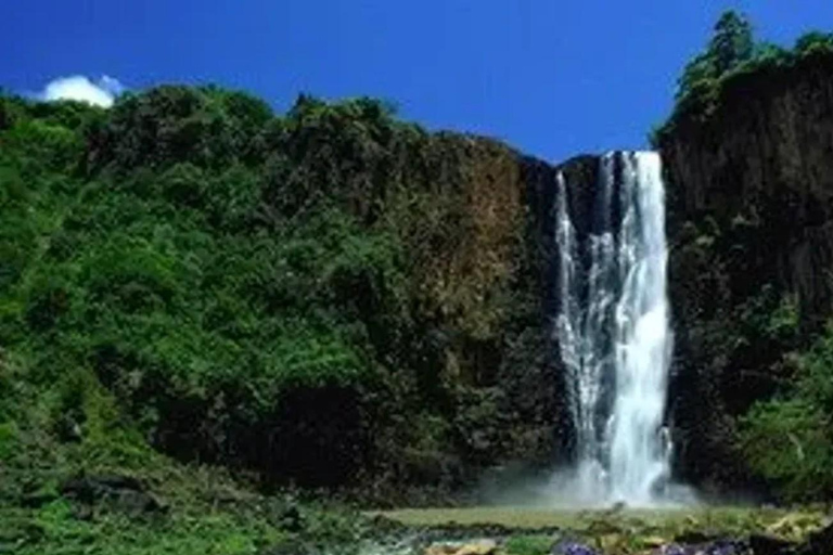 From Johannesburg: 2-Day Kruger National Park Safari