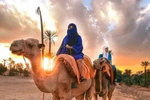 Sun set camel ride in palmerai of Marrakesh