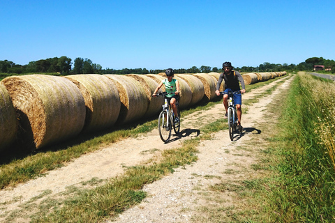 Pisa: Fietsen naar de zee tijdens een zelf rondleiding