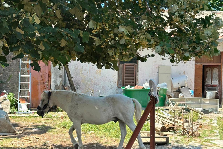 Kotor: visit fort Gorazda and Goran's Farm with ATV quad