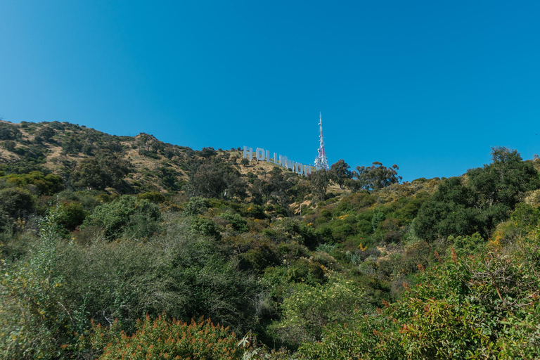 Los Angeles: Tour di un&#039;ora di Hollywood Sign