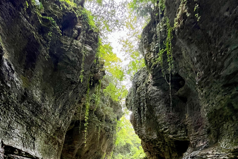 Tbilisi: 7-Day Tour To Georgia: Wine, Mountains & Canyons