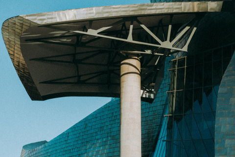 Bilbao: Shore Excursion with Guggenheim Museum Visit