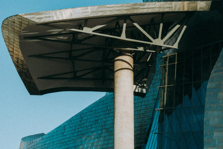 Bilbao: Shore Excursion with Guggenheim Museum Visit