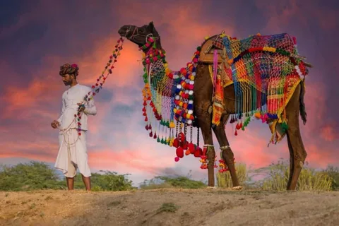 De Jaipur : Visita guiada de um dia a Pushkar e Ajmer no mesmo dia