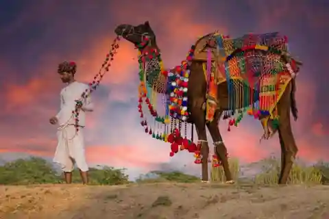 Da Jaipur : Tour guidato di un giorno a Pushkar e Ajmer