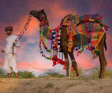 From Jaipur : Same Day Pushkar & Ajmer Guided Day Tour