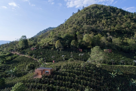 Private Coffee Plantation Tour with Tasting and Lunch
