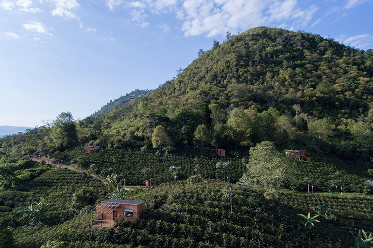 Tour privado de la plantación de café con degustación y almuerzo