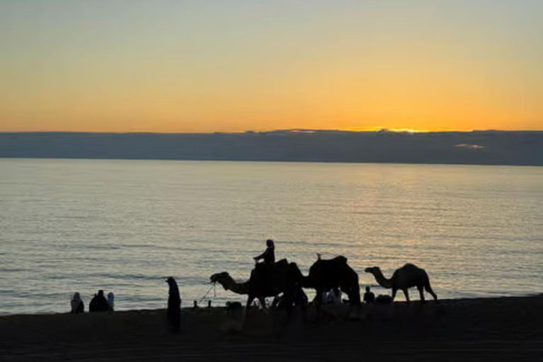 Agadir: Sandboarding with Optional Dinner & Quad Bike Tour Agadir: Sandboarding at Sunset with Dinner & Quad Option