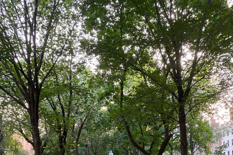 Boston's Back Bay: Private Guided Walking Tour